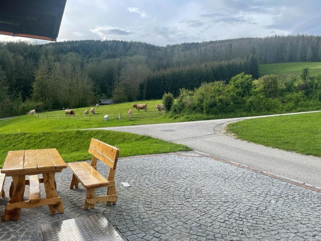 Ferienwohnung ,Hoizmann' Pinsdorf Exteriér fotografie
